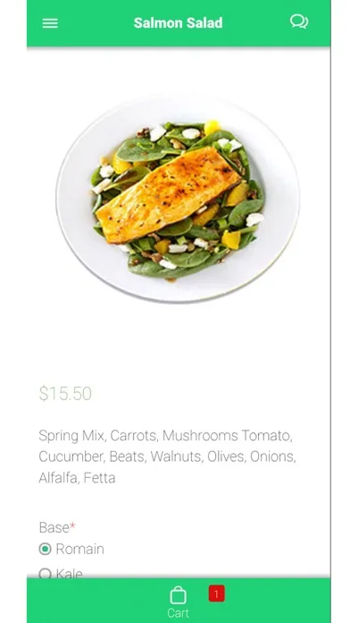 CS Salads 2000应用截图