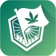 CBD Brussels Delivery CBD Brussels Delivery