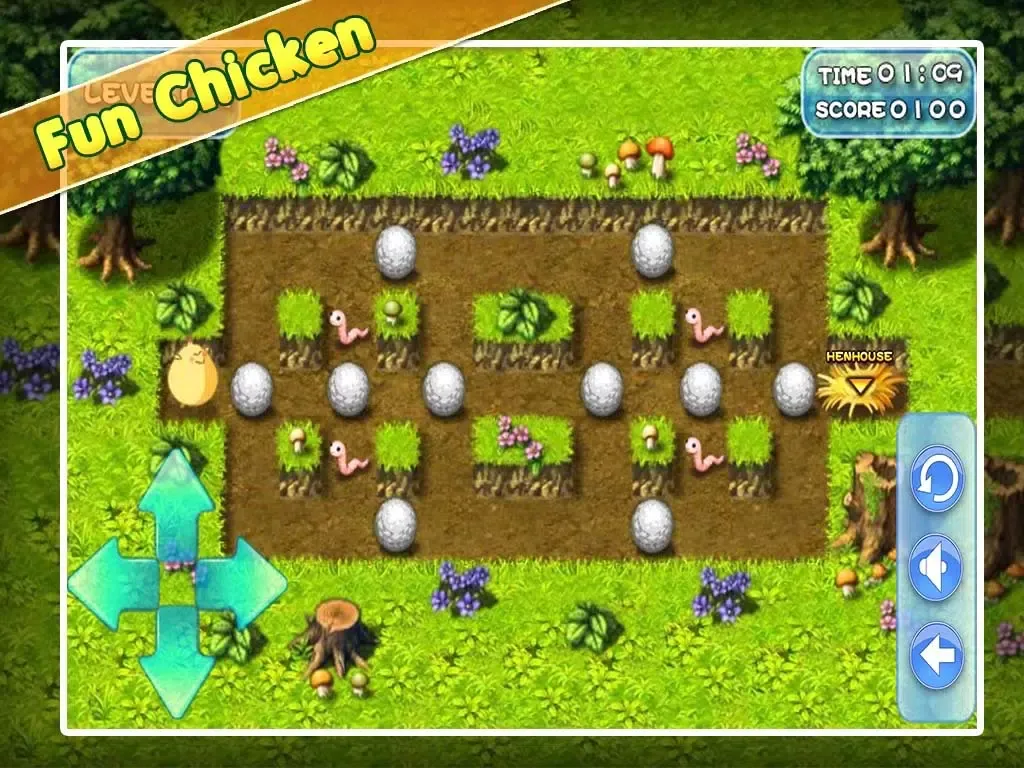 صور Fun Chicken iPad 