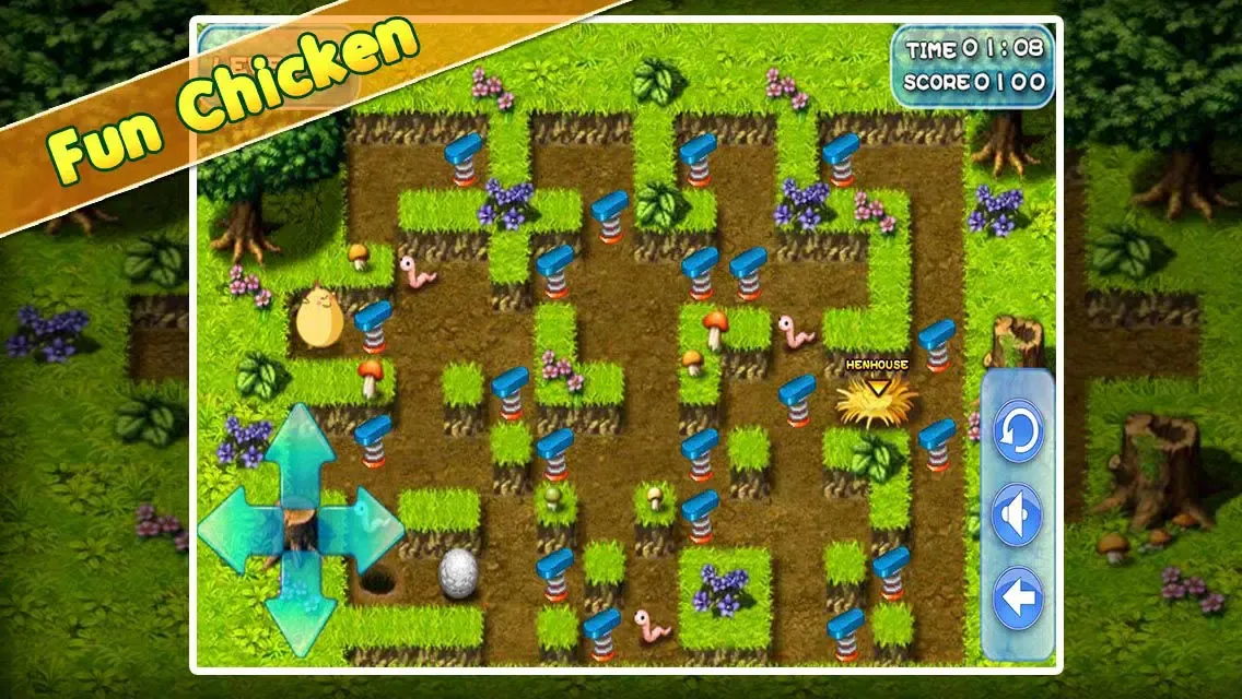صور Fun Chicken