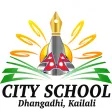 City School