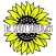The Savvy Sunflower Boutique