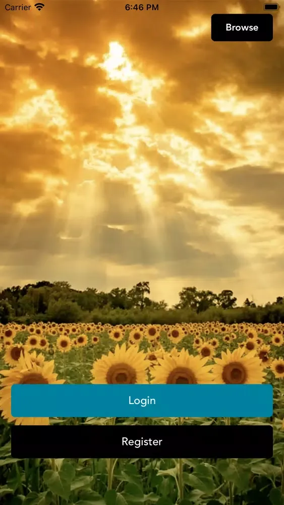 ภาพหน้าจอของ Sunflower Farms Boutique