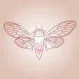 Cicada Games Cicada Games