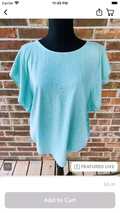 The Willow Belle Screenshots