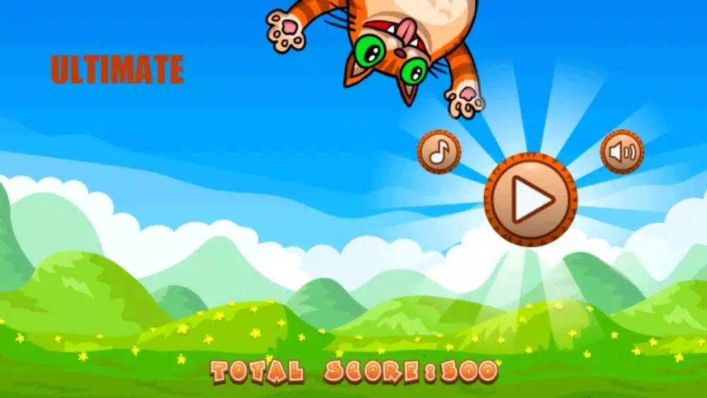 تصاویر Happy Launch Cat Fly!