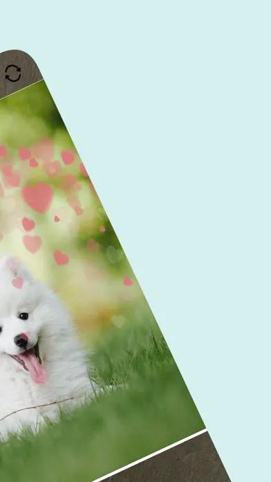 Ảnh chụp màn hình của 펫카메라 - 예쁜 강아지 사진을 촬영해보세요.