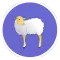 Avimegh