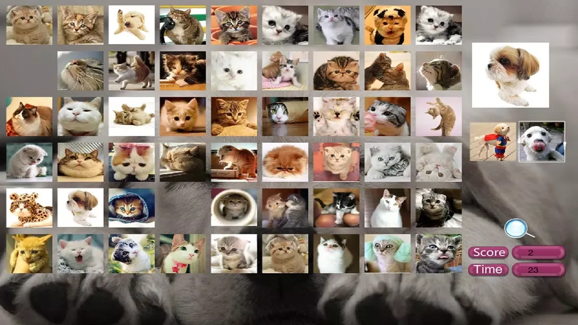 تصاویر Find pup
