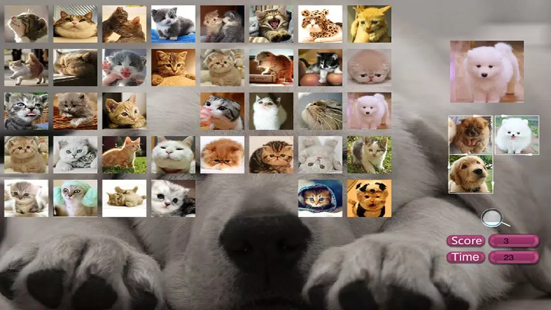 تصاویر Find pup