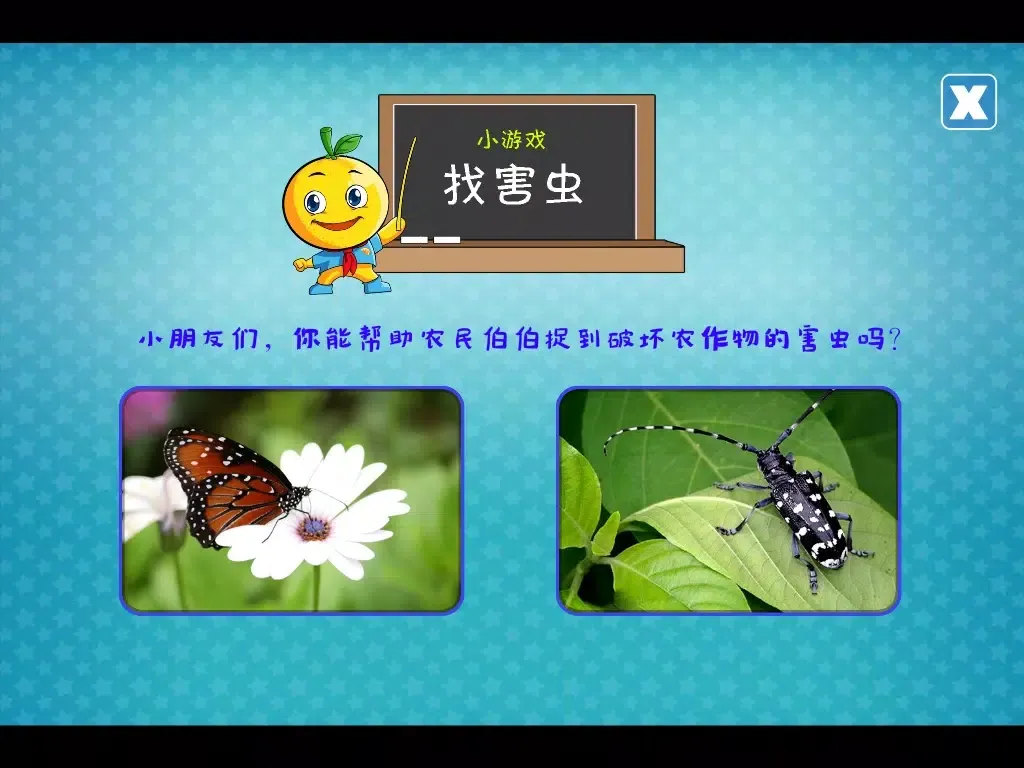 宝宝昆虫记 iPad 应用截图