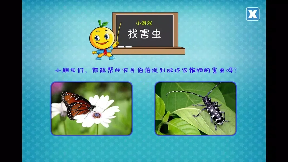 宝宝昆虫记应用截图