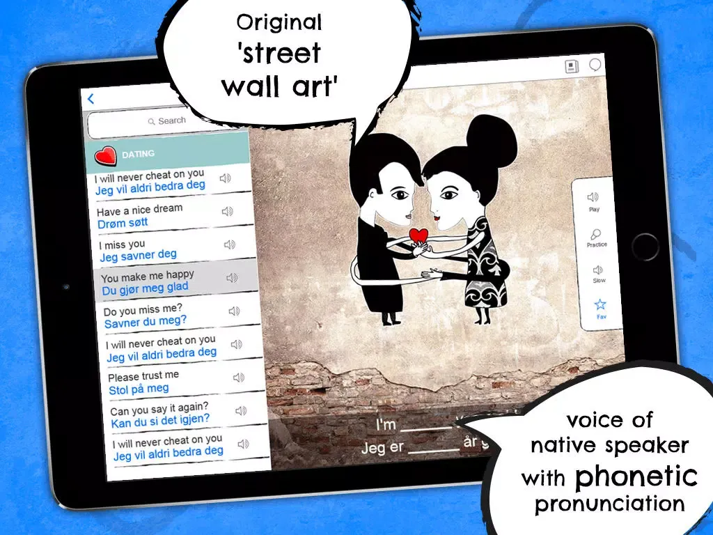 Norwegian Phrasi - Free Offline Phrasebook with Flashcards, Street Art and Voice of Native Speaker iPad  Ekran Görüntüleri