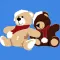 CTF Bear App