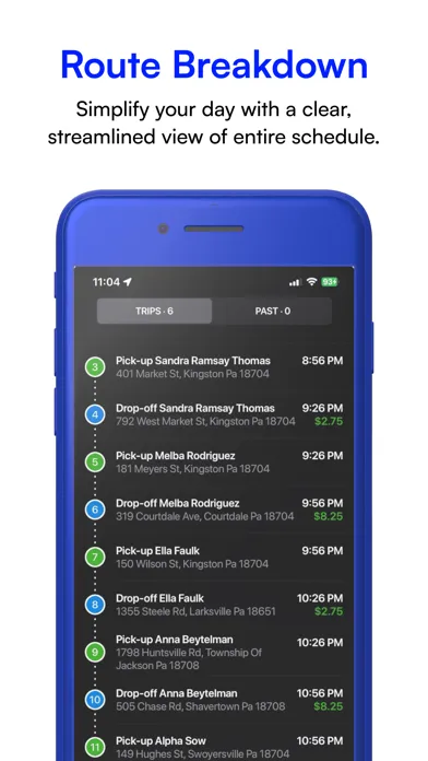 ภาพหน้าจอของ NYPT Carrier Driver