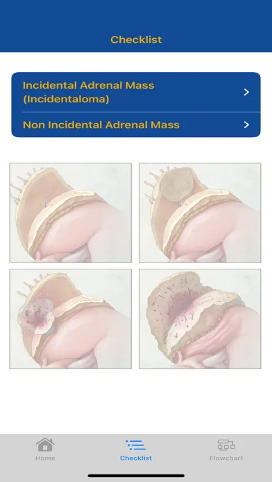Zrzuty ekranu CTisus Adrenal Mass Checklist