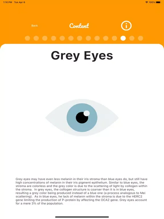Скриншоты Eye Color iPad 