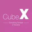 CubeX Consulting