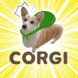 Welsh Corgi's style Part 2 Welsh Corgi's style Part 2