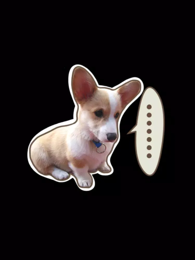 Baby Corgi the Lowrider iPad  Ekran Görüntüleri