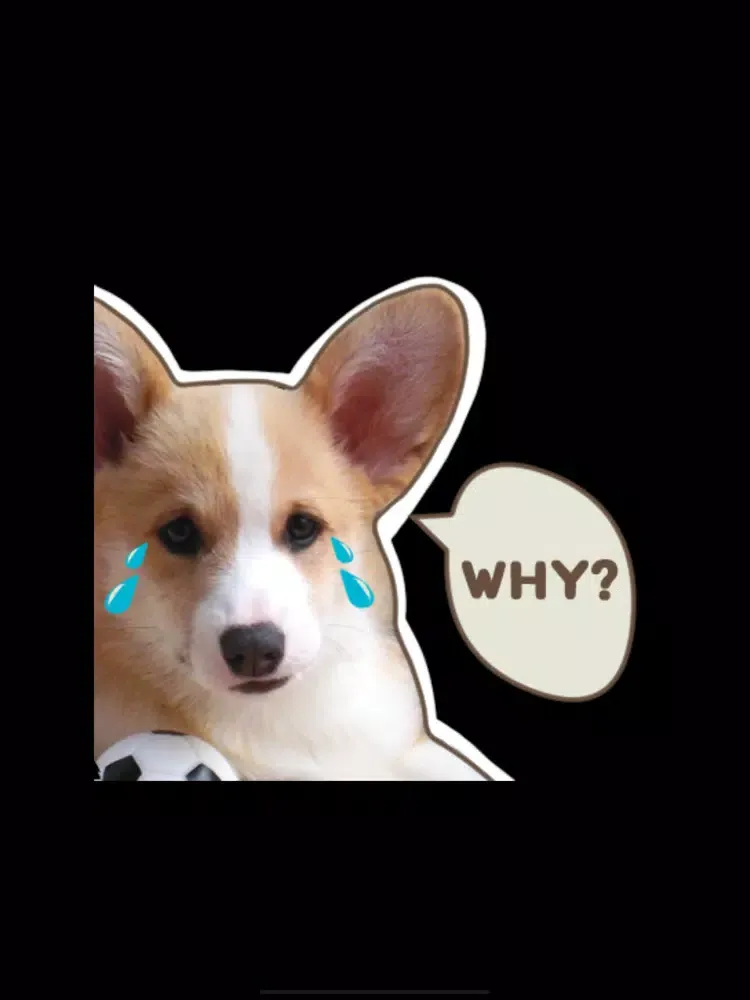 Baby Corgi the Lowrider iPad  Ekran Görüntüleri