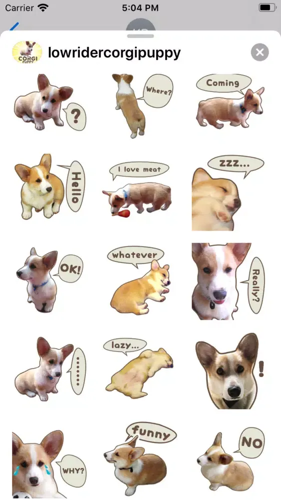 Baby Corgi the Lowrider Ekran Görüntüleri