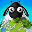 Sheep - A beautiful world Sheep - A beautiful world