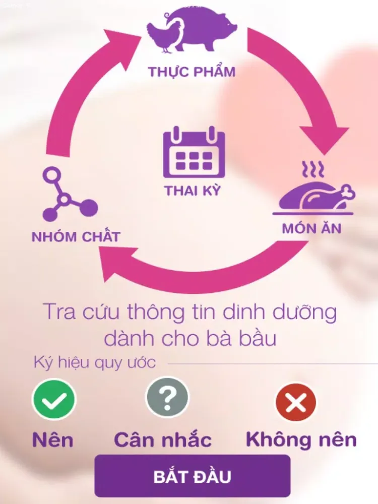 Ba Bau - Dinh dưỡng trong thai kỳ iPad 应用截图