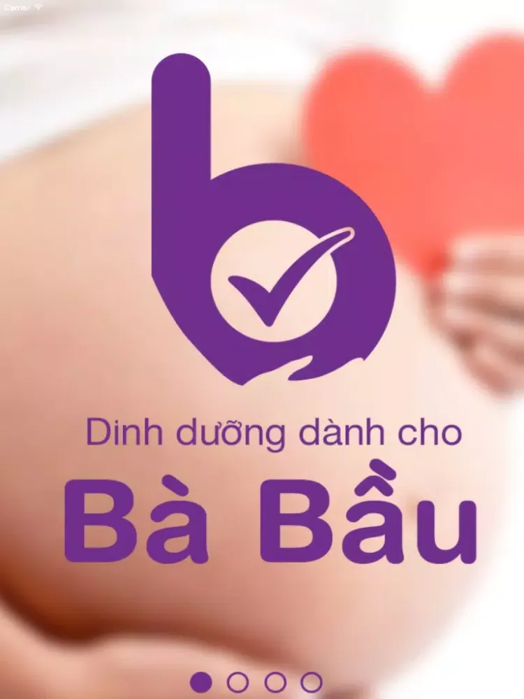 Ba Bau - Dinh dưỡng trong thai kỳ iPad 应用截图