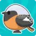 Tori Watch 2 - fluffy birds -
