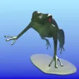 Happy Hoppy Frog Happy Hoppy Frog