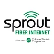 Sprout Fiber Internet Sprout Fiber Internet