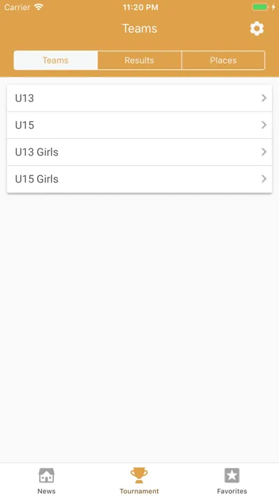 WSG Football Cup Screenshots
