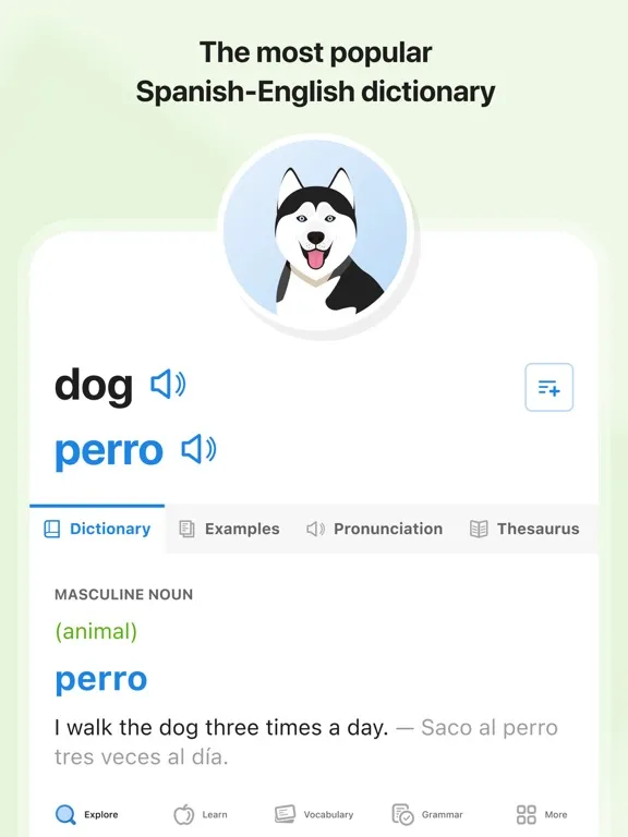SpanishDictionary.com Learning iPad  Screenshots