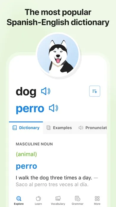 SpanishDictionary.com Learning Screenshots