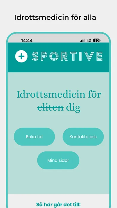 Скриншоты Sportive.se