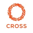 RoundGlass Cross for Doctors RoundGlass Cross for Doctors