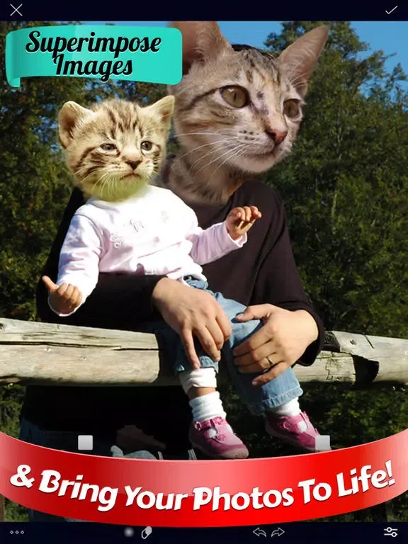Screenshot di Overlay Pro Photo Editor iPad 
