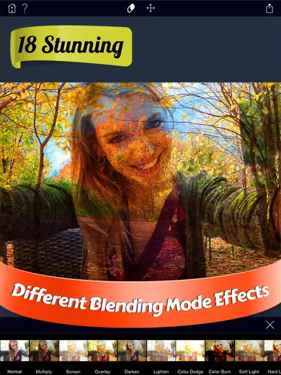 Screenshot di Overlay Pro Photo Editor iPad 