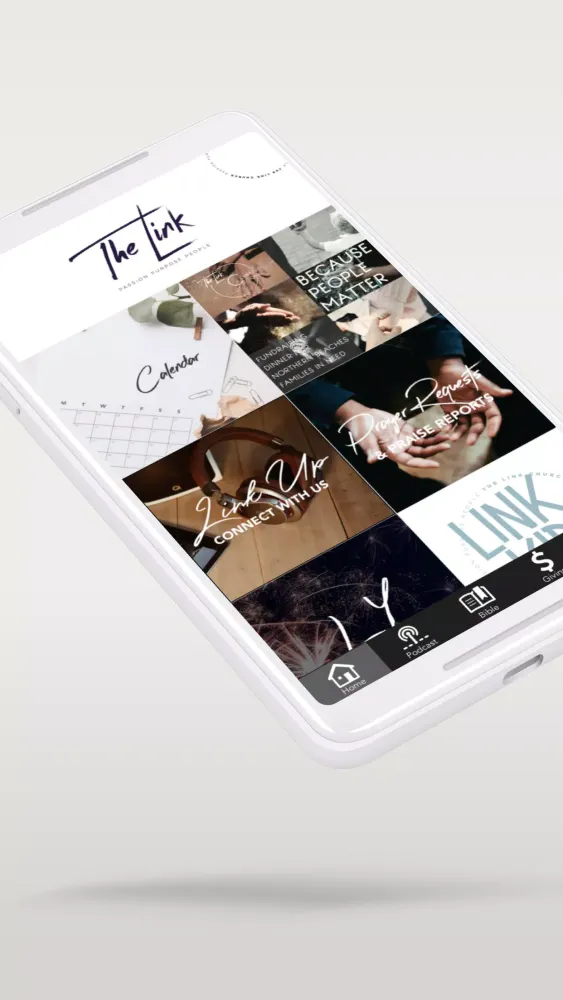 The Link Screenshots