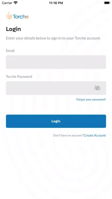 Torche: Future of Credit应用截图