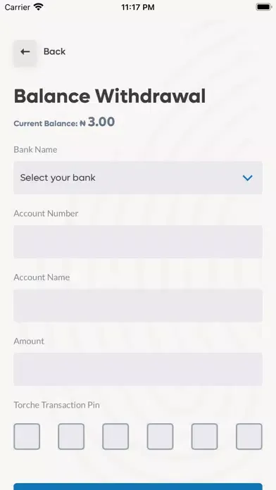 Torche: Future of Credit应用截图