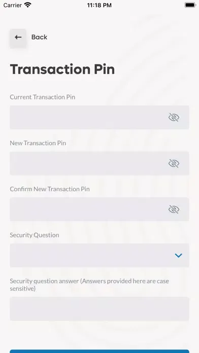 Torche: Future of Credit应用截图