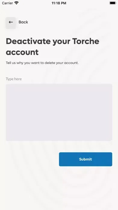 Torche: Future of Credit应用截图