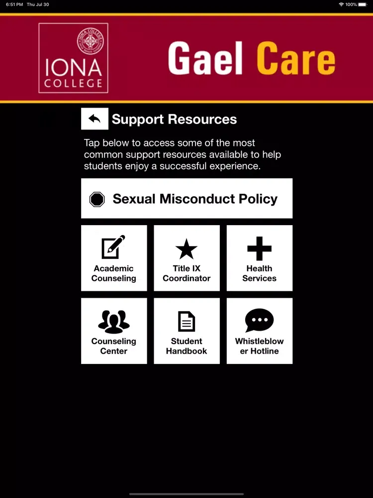 Скриншоты Gael Care iPad 