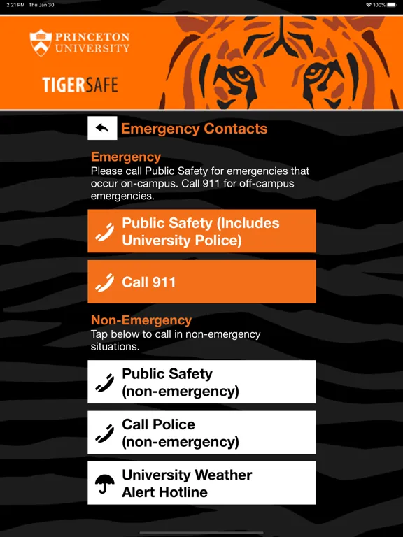 Ảnh chụp màn hình của TigerSafe - Princeton iPad 