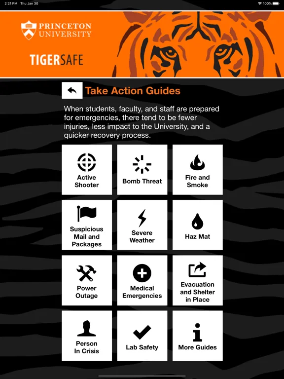 Ảnh chụp màn hình của TigerSafe - Princeton iPad 