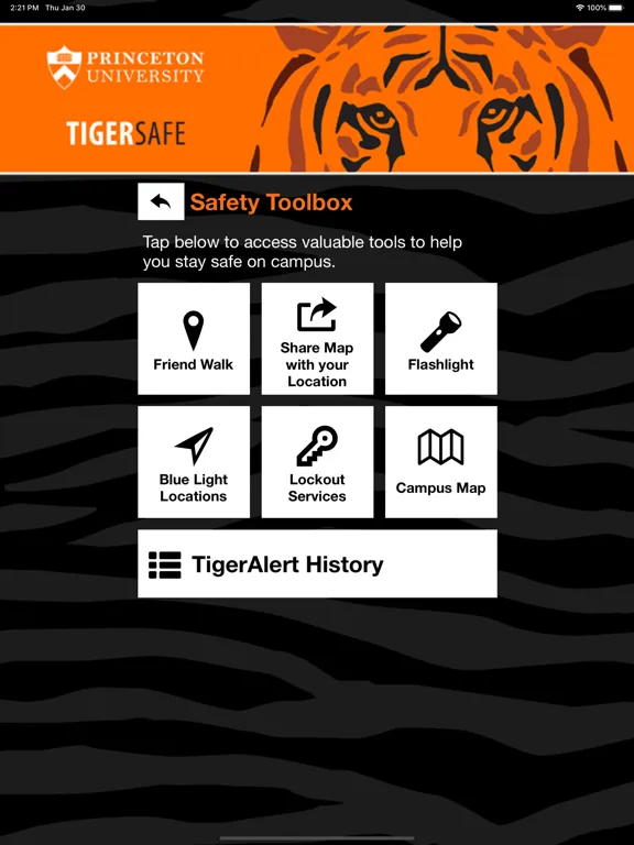 Ảnh chụp màn hình của TigerSafe - Princeton iPad 