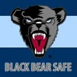 Black Bear Safe Black Bear Safe