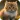 Cute Animal Wallpapers 4K